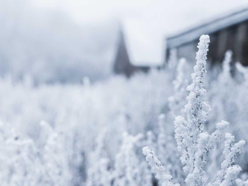Charming Townhouse in Campbelltown